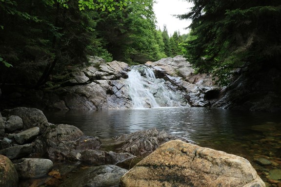 Les plus belles cascades en Martinique