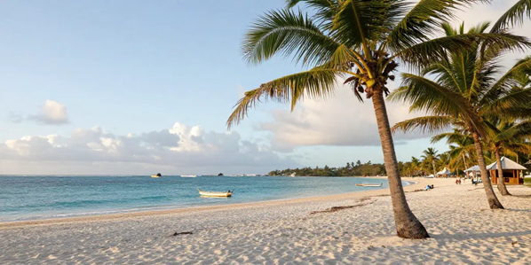 Martinique en décembre : météo, prix et bons plans