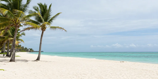 Martinique en novembre : météo, prix et bons plans