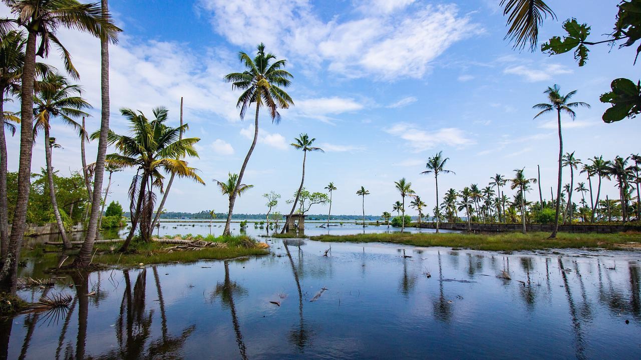 Le Marigot : une commune incontournable en Martinique