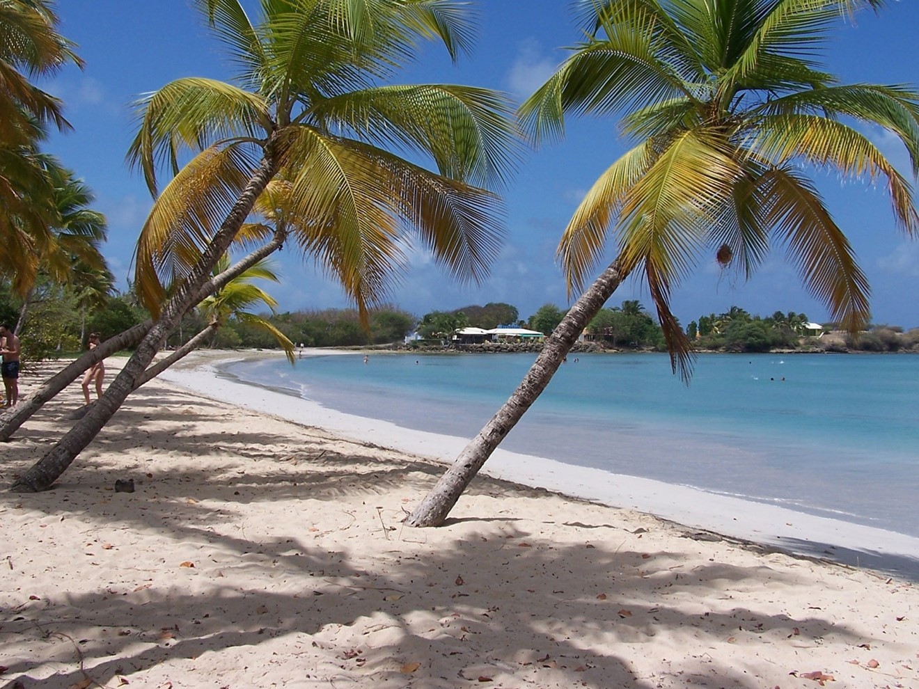 Martinique infos : tout ce qu’il faut savoir avant de partir