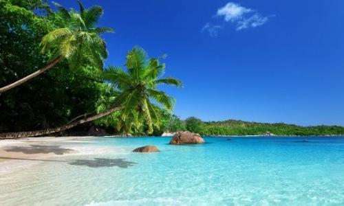 Martinique tourisme : profitez d'un séjour paradisiaque sur cette île
