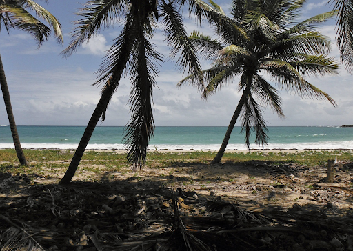 Visitez l’Anse Michel lors de votre séjour en Martinique