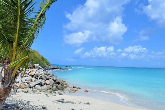 Des vacances inoubliables dans la région de Sainte-Luce en Martinique