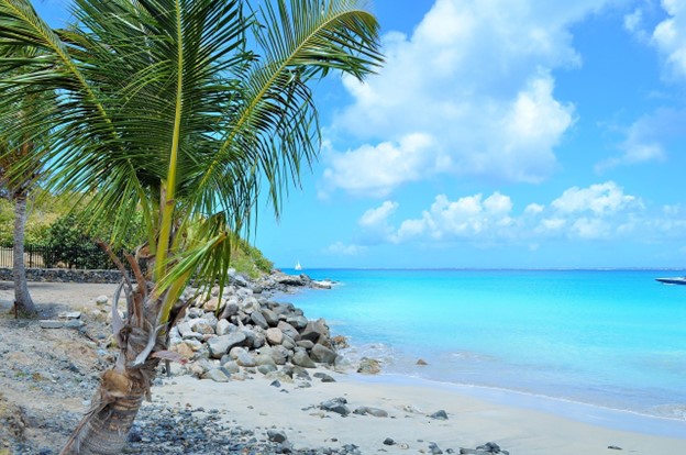 Découvrez la beauté enchanteresse de la plage de Tartane en Martinique