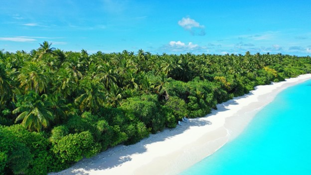 Découvrez la splendeur de la plage de Pointe Marin, un joyau naturel niché en Martinique