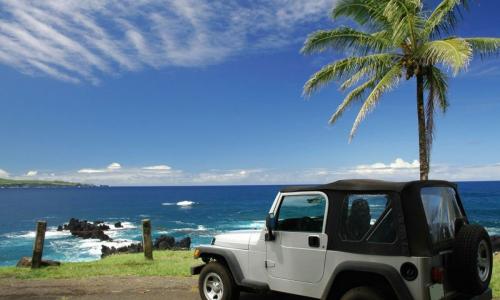 Choisir la meilleure saison pour partir en Martinique afin de profiter de ses vacances.
