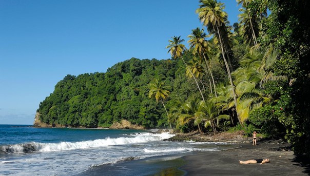 Les différentes saisons en Martinique à connaître pour passer des vacances inoubliables