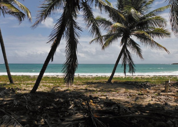 Découvrez les délices de la cuisine martiniquaise lors de votre séjour: Un voyage culinaire inoubliable en Martinique