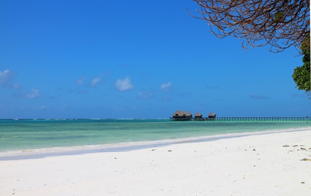 Découvrir la Martinique : dans quel océan ce joyau des Caraïbes se trouve-t-il ?