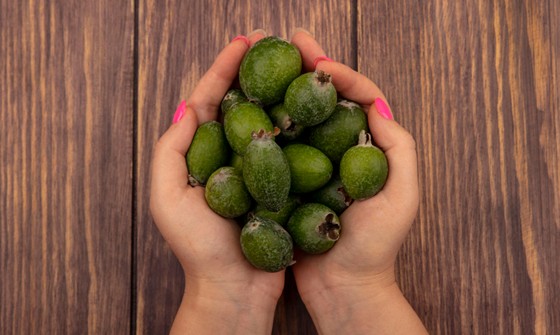 peut-on ramener des avocats de martinique le certificat est il obligatoire